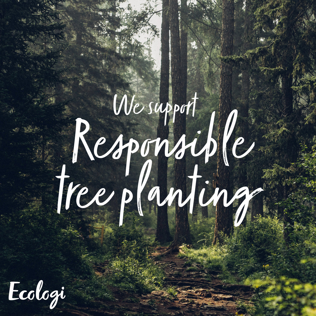 A forest with the words "we support responsible tree planting".